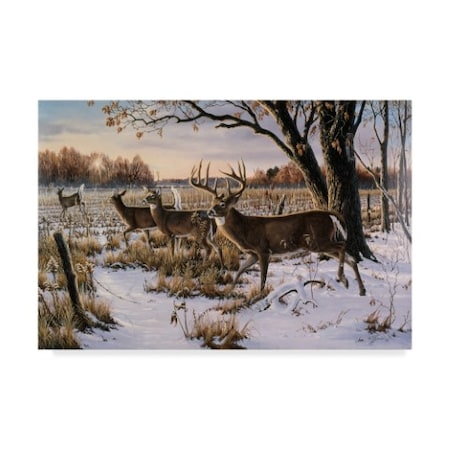 Wilhelm Goebel 'Cautious Crossing Whitetails' Canvas Art,12x19